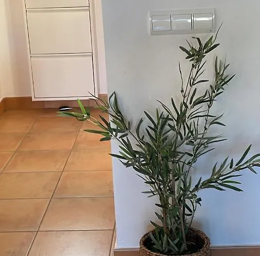 Schoene Mit Pool Und Terrasse. Denia