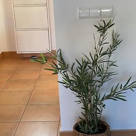 Schoene Mit Pool Und Terrasse. Dénia